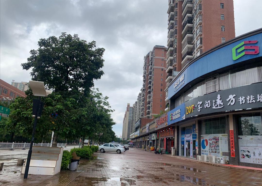 惠州新力城最新房?jī)r(jià)動(dòng)態(tài)，變化中的學(xué)習(xí)與自信的力量